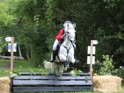 IMG_1647_web